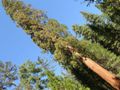 yosemite np - jamestown - modesto