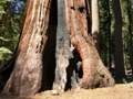 yosemite np - jamestown - modesto