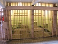 san francisco - alcatraz