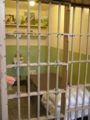 san francisco - alcatraz