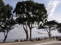 from san francisco to LA - highway nr 1