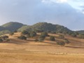from san francisco to LA - highway nr 1