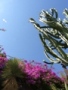 Los Angeles - Mojave - Figueroa