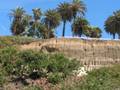 Los Angeles - Hollywood - Malibu