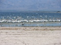 Los Angeles - Universal Studios - Salton Sea