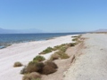 Los Angeles - Universal Studios - Salton Sea