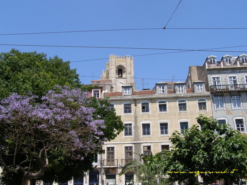 catedral se