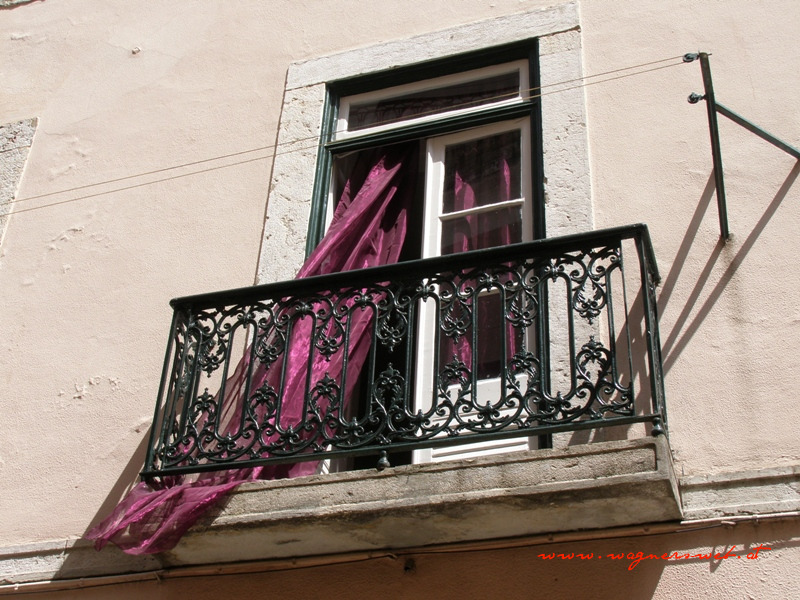 fenster