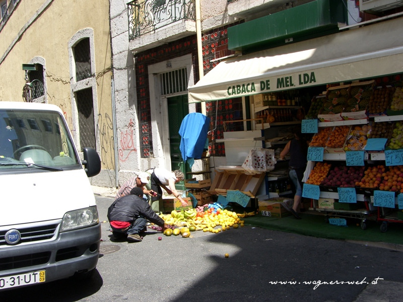 gefallenes Obst