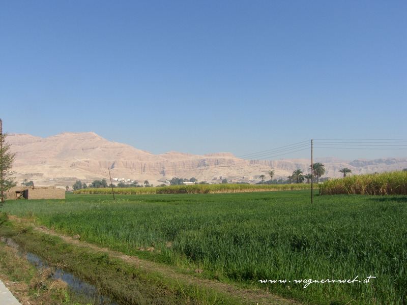 blick richtung theben