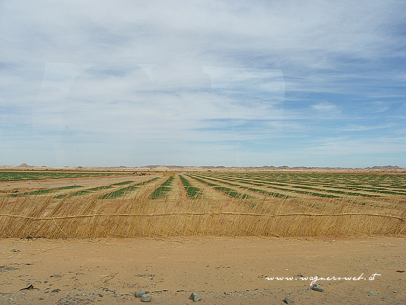 fahrt nach abu simbel