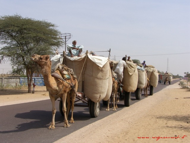 Indien 