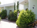 Ranthambore-