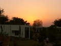 Ranthambore-