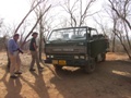 Ranthambore-