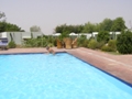 Ranthambore-