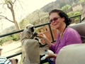 Ranthambore-