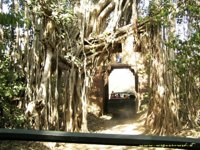 Indien 