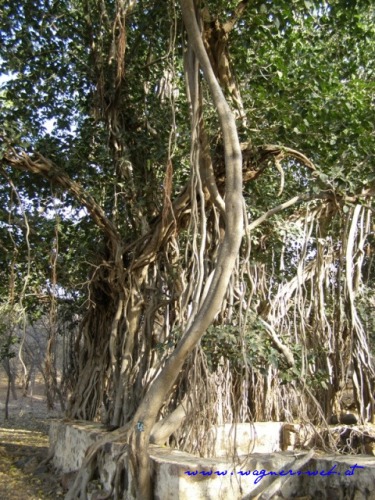 Indien 