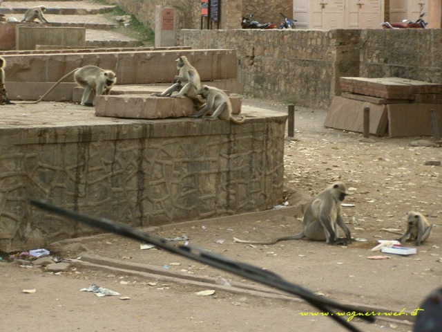 Indien 