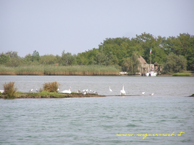 Caorle - Lagune 