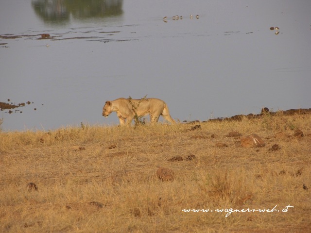 Kenia 2011 