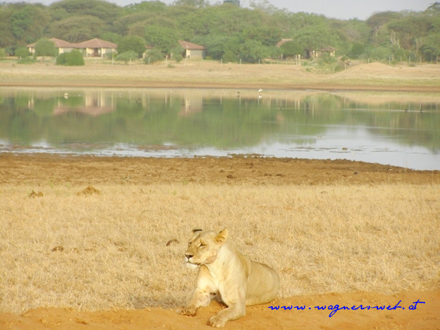 Kenia 2011 