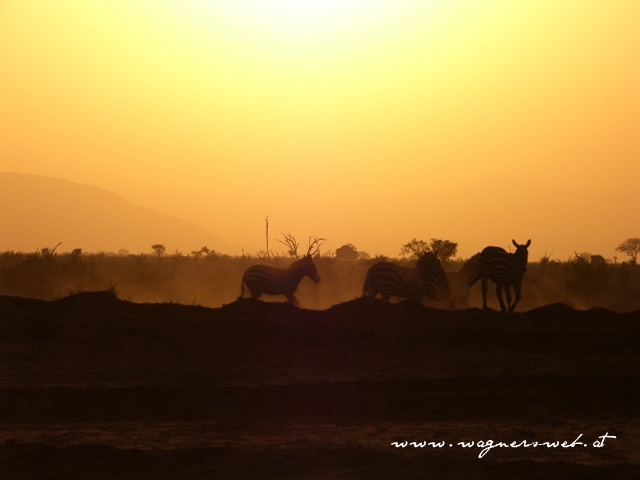 Kenia 2011 