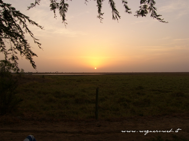 Kenia 2011 