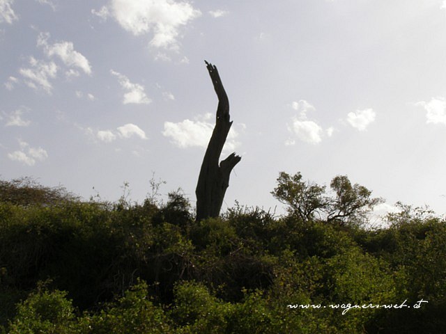 Kenia 2011 