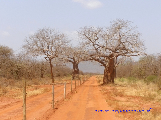 Kenia 2011 