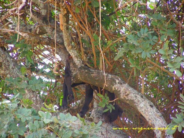 Kenia 2011 