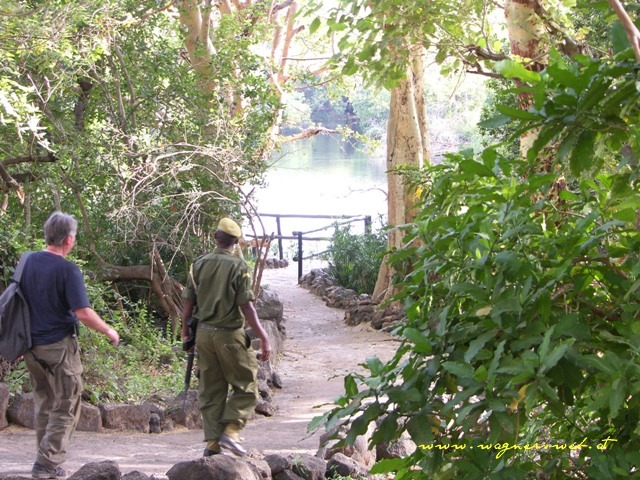 Kenia 2011 