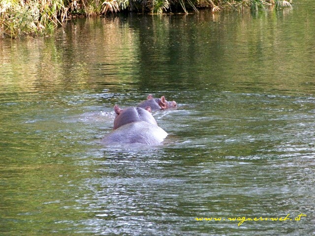 Kenia 2011 