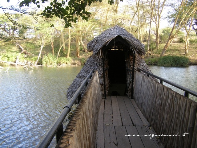 Kenia 2011 