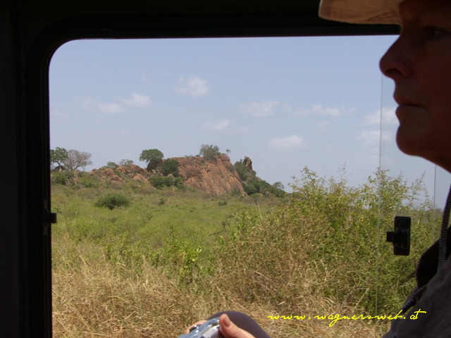 Kenia 2011 