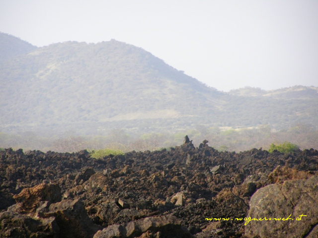 Kenia 2011 