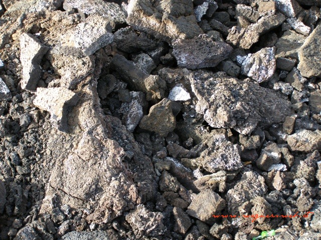Kenia 2011 
