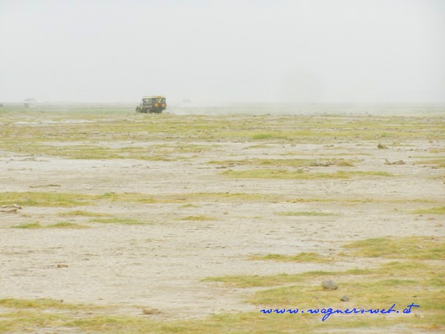Kenia 2011 