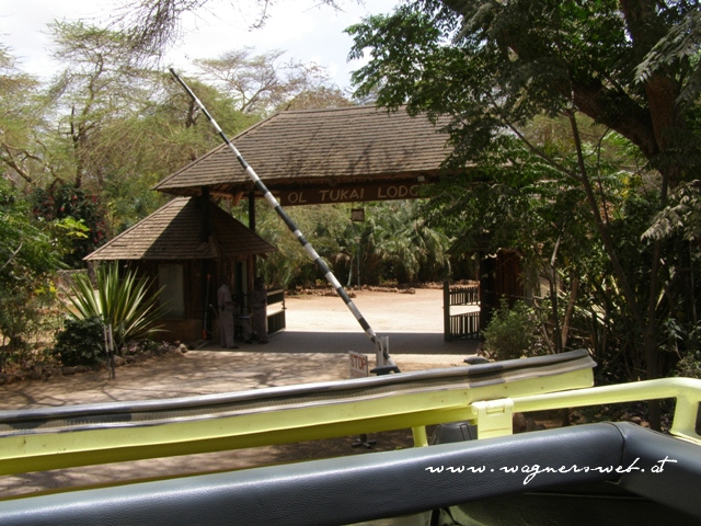 Kenia 2011 
