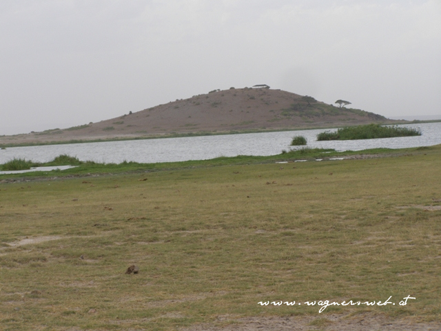 Kenia 2011 