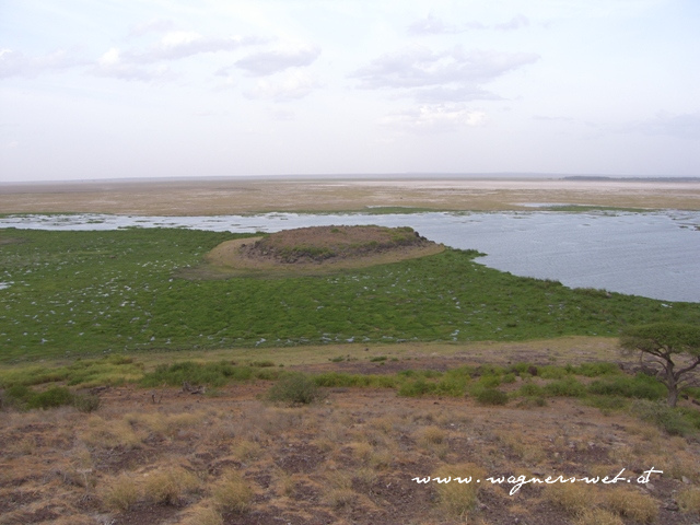 Kenia 2011 